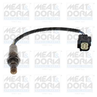 Oxygen Sensor